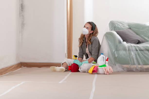Reliable Commercial Mold Remediation contractor in Adamstown, MD by WQB Mold Removal